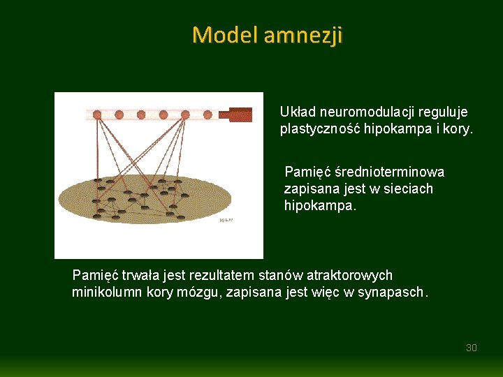 Model amnezji Układ neuromodulacji reguluje plastyczność hipokampa i kory. Pamięć średnioterminowa zapisana jest w