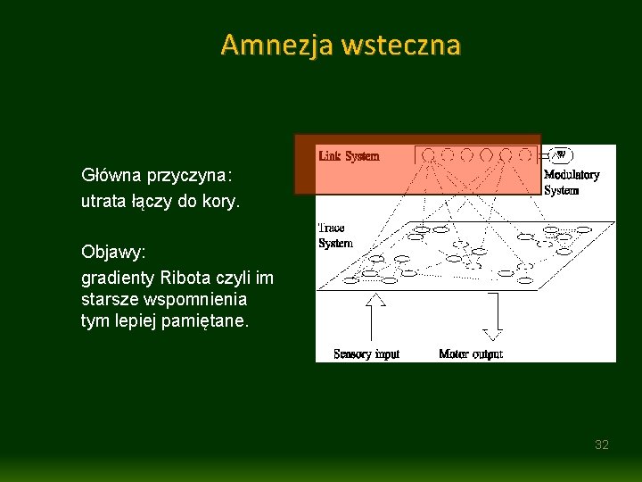 Amnezja wsteczna Główna przyczyna: utrata łączy do kory. Objawy: gradienty Ribota czyli im starsze