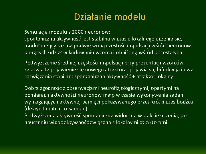 Działanie modelu Symulacja modułu z 2000 neuronów: spontaniczna aktywność jest stabilna w czasie lokalnego