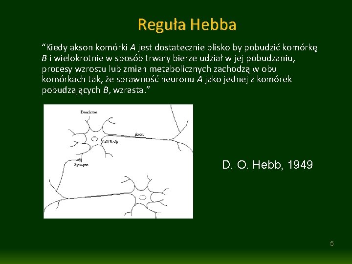 Reguła Hebba “Kiedy akson komórki A jest dostatecznie blisko by pobudzić komórkę B i