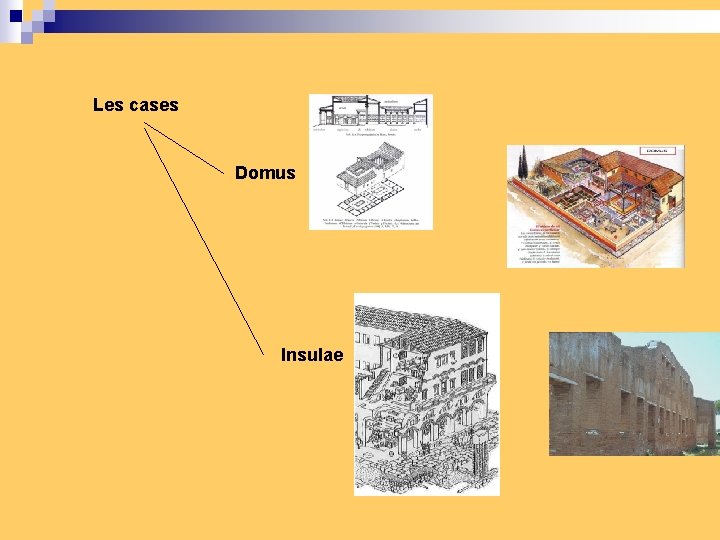 Les cases Domus Insulae 