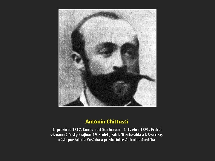 Antonín Chittussi (1. prosince 1847, Ronov nad Doubravou - 1. května 1891, Praha) významný