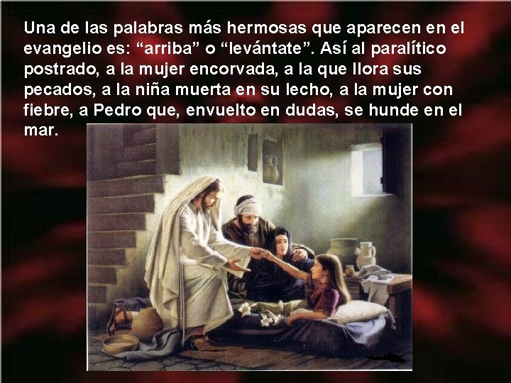 Una de las palabras más hermosas que aparecen en el evangelio es: “arriba” o