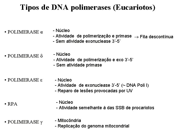 Tipos de DNA polimerases (Eucariotos) • POLIMERASE α - Núcleo - Atividade de polimerização