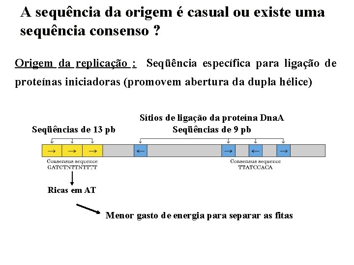 A sequência da origem é casual ou existe uma sequência consenso ? Origem da