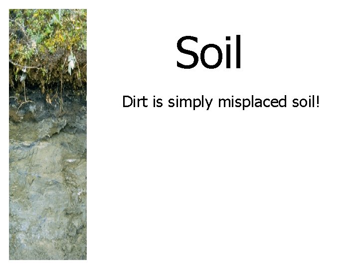 Soil Dirt is simply misplaced soil! 