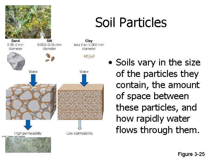 Soil Particles • Soils vary in the size of the particles they contain, the