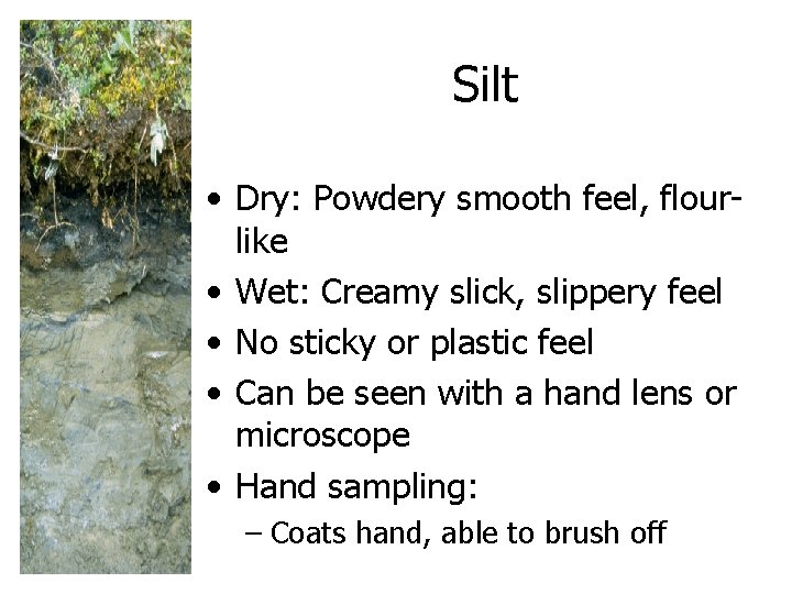 Silt • Dry: Powdery smooth feel, flourlike • Wet: Creamy slick, slippery feel •