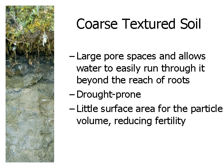 Coarse Textured Soil – Large pore spaces and allows water to easily run through