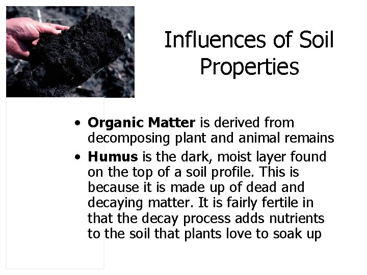 Influences of Soil Properties • Organic Matter is derived from decomposing plant and animal