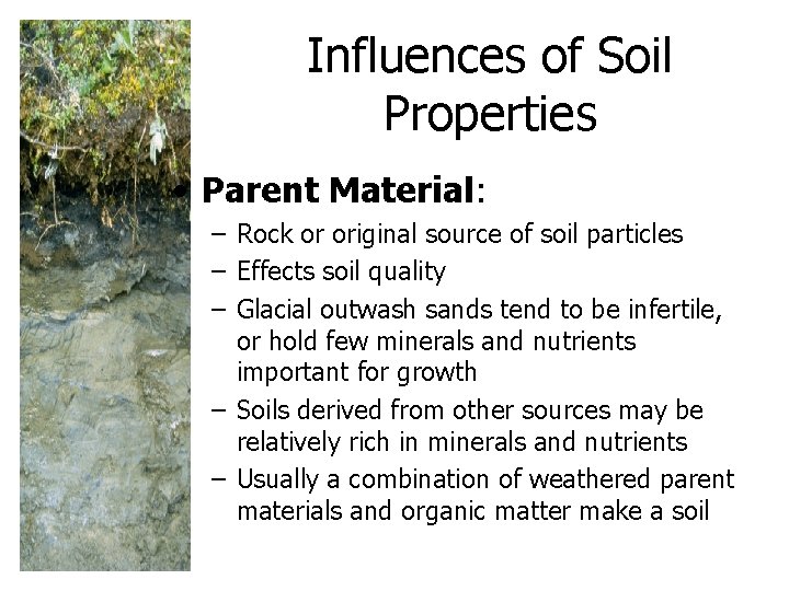 Influences of Soil Properties • Parent Material: – Rock or original source of soil Influences of Soil Properties • Parent Material: – Rock or original source of soil