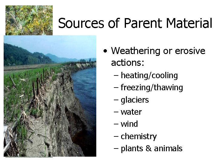 Sources of Parent Material • Weathering or erosive actions: – heating/cooling – freezing/thawing –