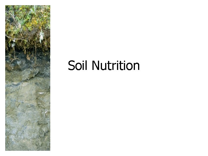 Soil Nutrition 