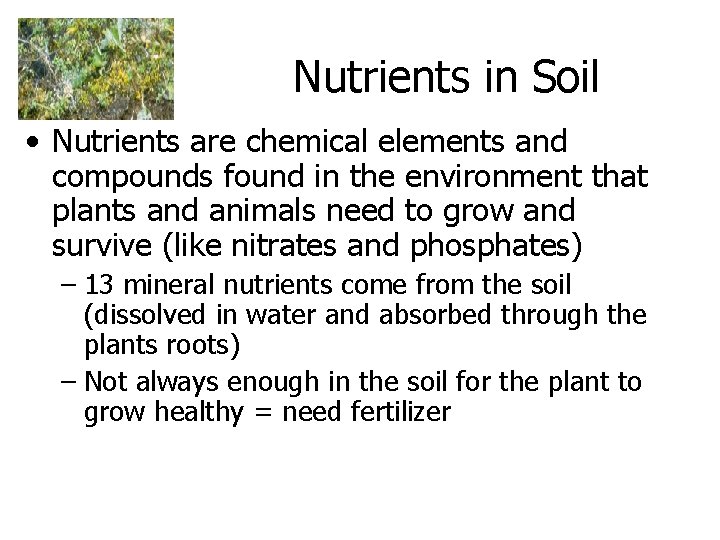 Nutrients in Soil • Nutrients are chemical elements and compounds found in the environment