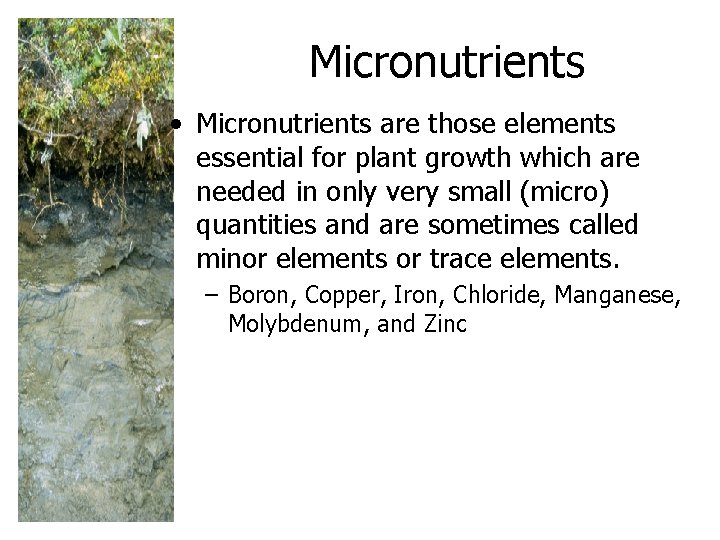 Micronutrients • Micronutrients are those elements essential for plant growth which are needed in