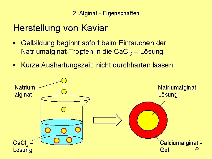 2. Alginat - Eigenschaften Herstellung von Kaviar • Gelbildung beginnt sofort beim Eintauchen der