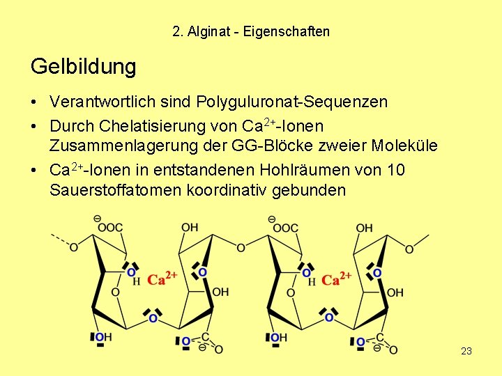 2. Alginat - Eigenschaften Gelbildung • Verantwortlich sind Polyguluronat-Sequenzen • Durch Chelatisierung von Ca