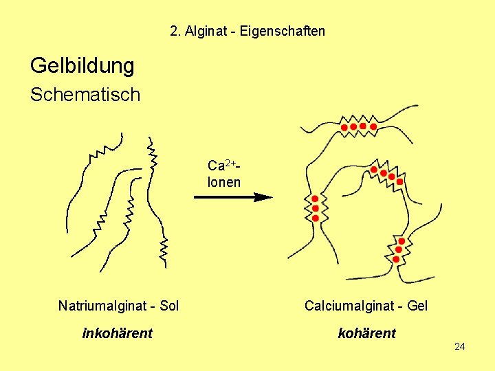 2. Alginat - Eigenschaften Gelbildung Schematisch Ca 2+Ionen Natriumalginat - Sol Calciumalginat - Gel
