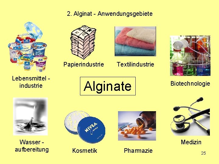 2. Alginat - Anwendungsgebiete Papierindustrie Lebensmittel industrie Wasser aufbereitung Textilindustrie Alginate Biotechnologie Medizin Kosmetik