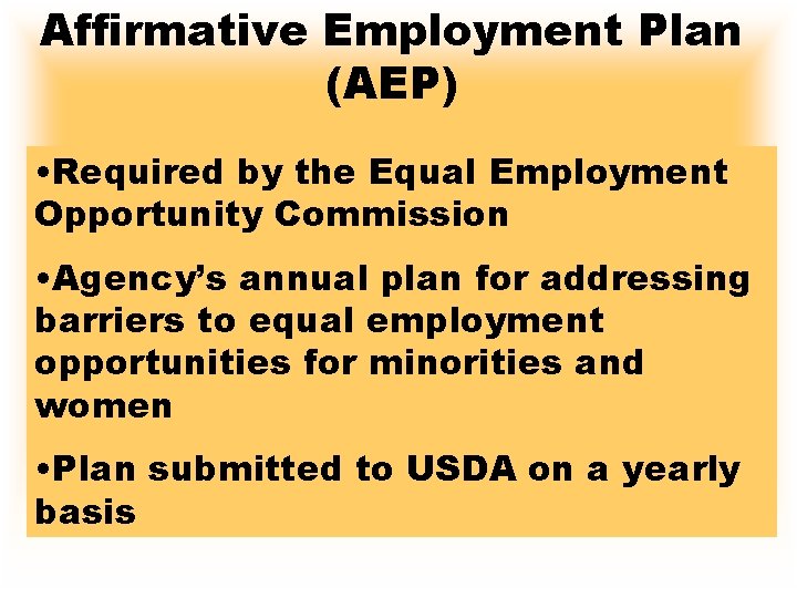 Affirmative Employment Plan (AEP) • Required by the Equal Employment Opportunity Commission • Agency’s