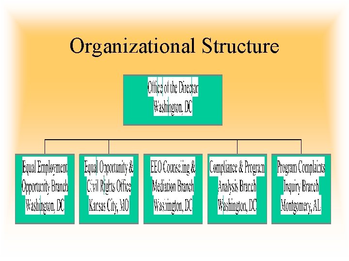 Organizational Structure 