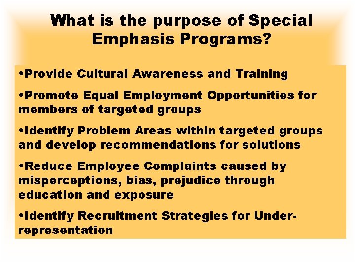 What is the purpose of Special Emphasis Programs? • Provide Cultural Awareness and Training