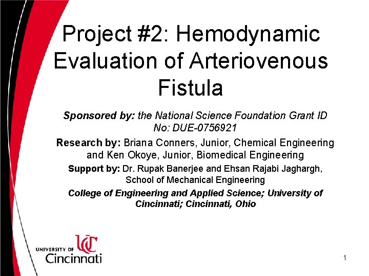Project #2: Hemodynamic Evaluation of Arteriovenous Fistula Sponsored by: the National Science Foundation Grant