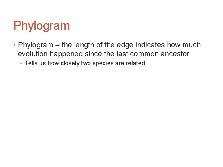 Phylogram • Phylogram – the length of the edge indicates how much evolution happened