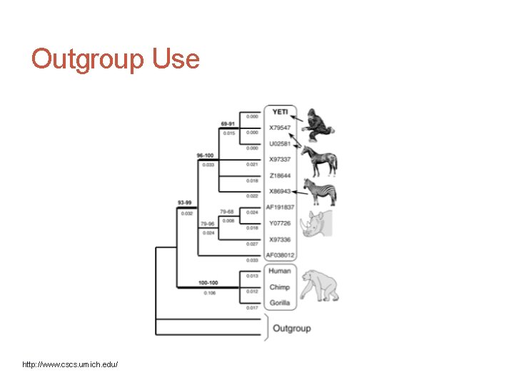 Outgroup Use http: //www. cscs. umich. edu/ 