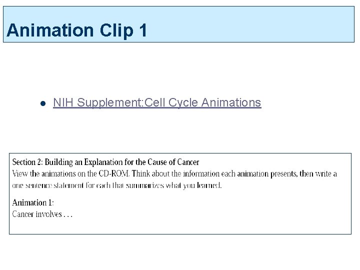 Animation Clip 1 l NIH Supplement: Cell Cycle Animations 