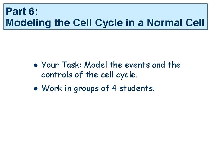 Part 6: Modeling the Cell Cycle in a Normal Cell l l Your Task: