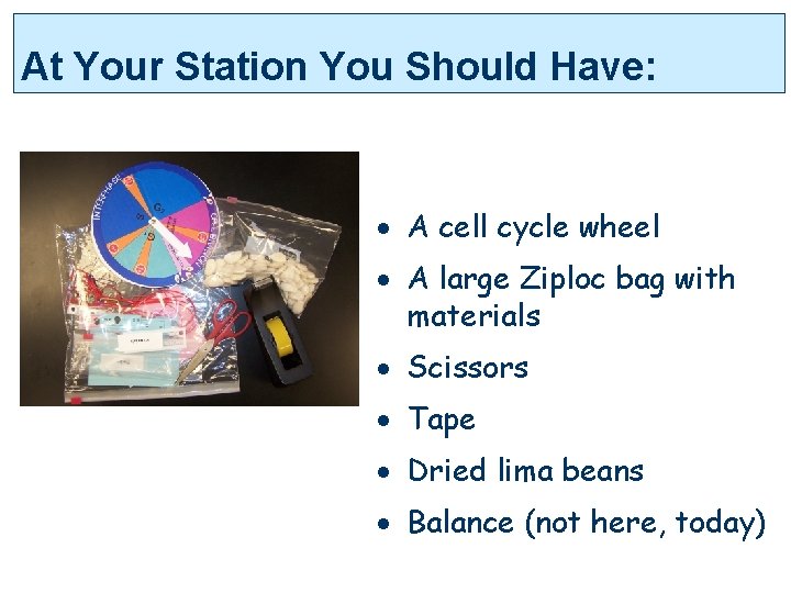 At Your Station You Should Have: · A cell cycle wheel · A large