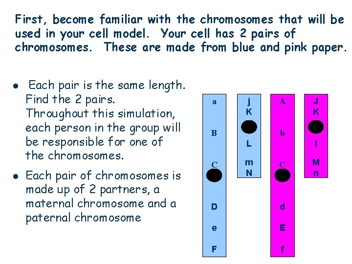 First, become familiar with the chromosomes that will be used in your cell model.