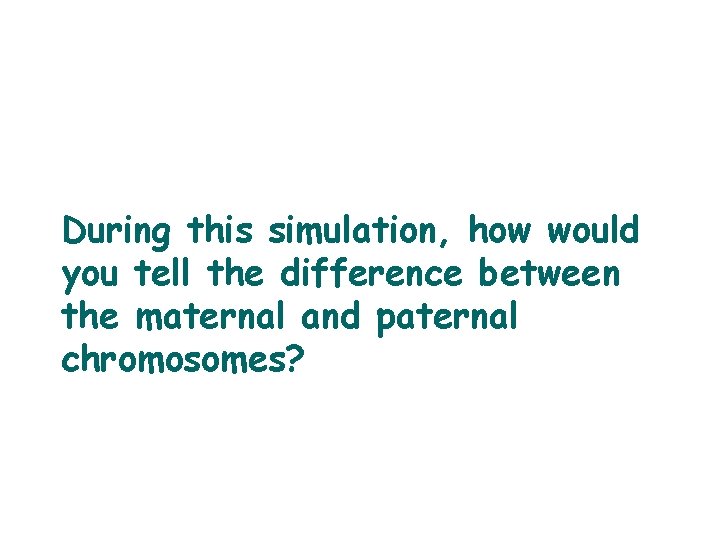 During this simulation, how would you tell the difference between the maternal and paternal