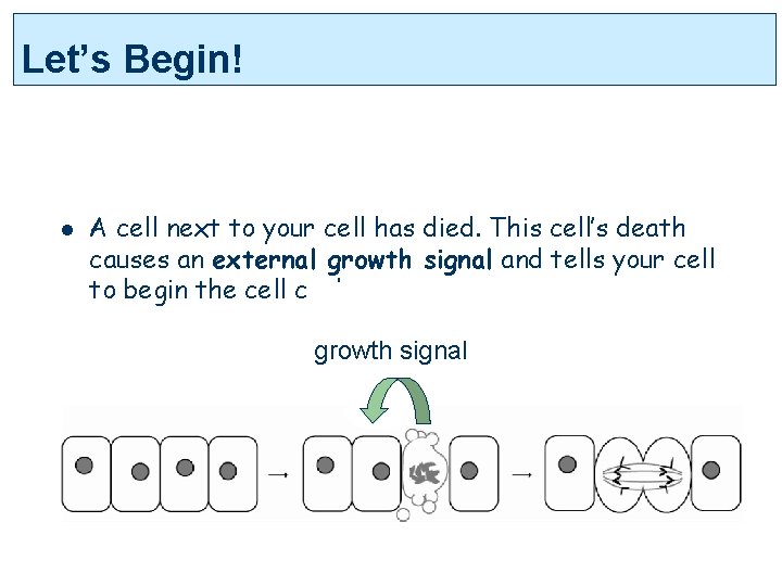 Let’s Begin! l A cell next to your cell has died. This cell’s death
