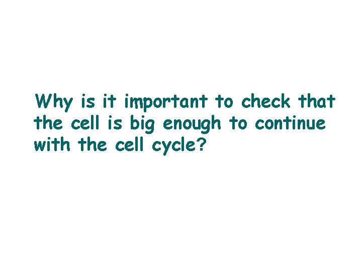 Why is it important to check that the cell is big enough to continue