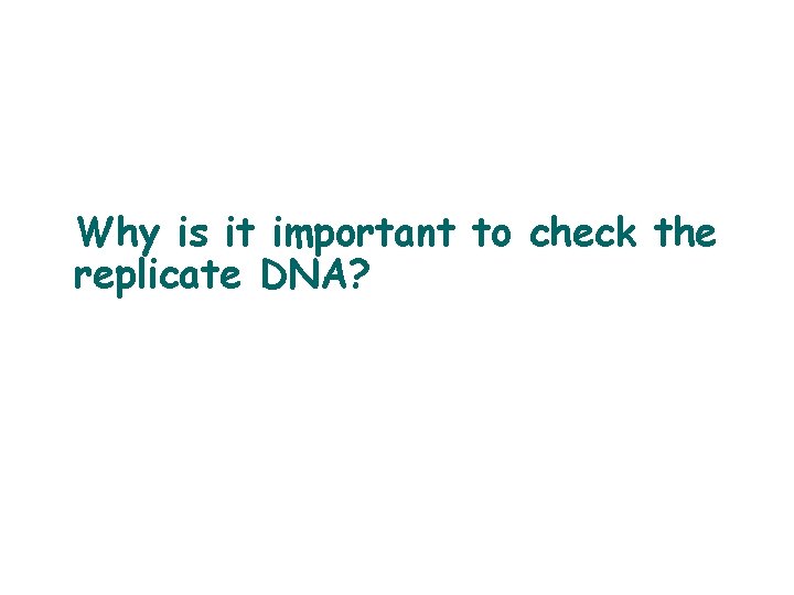 Why is it important to check the replicate DNA? 