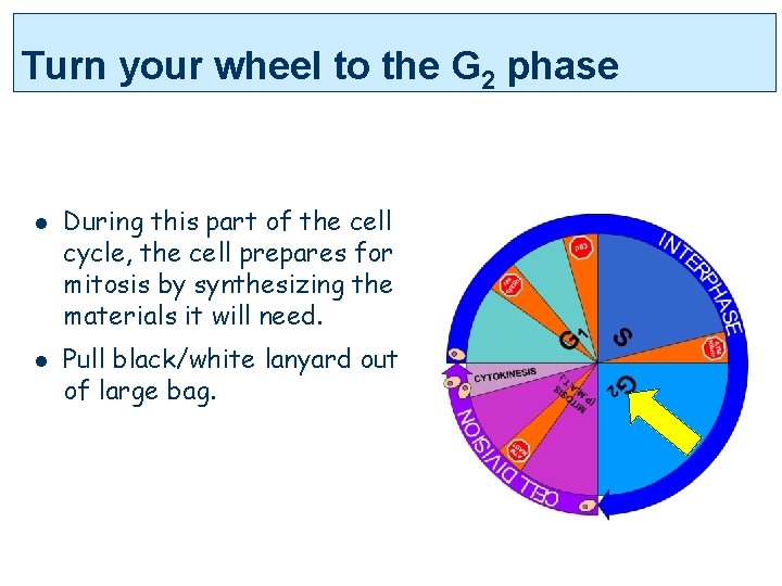 Turn your wheel to the G 2 phase l l During this part of