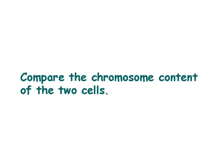 Compare the chromosome content of the two cells. 