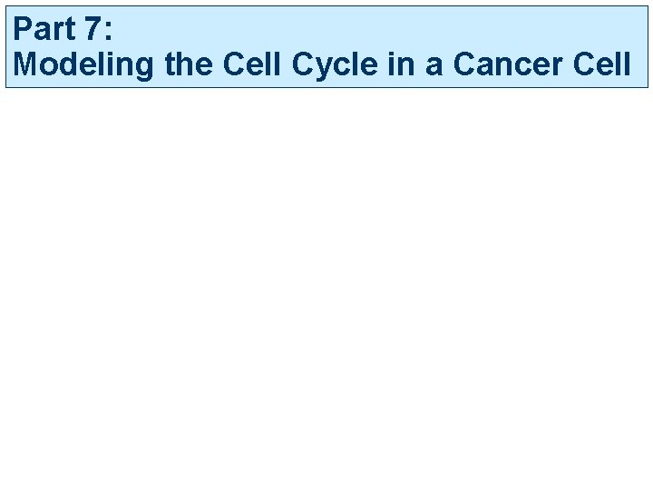 Part 7: Modeling the Cell Cycle in a Cancer Cell 