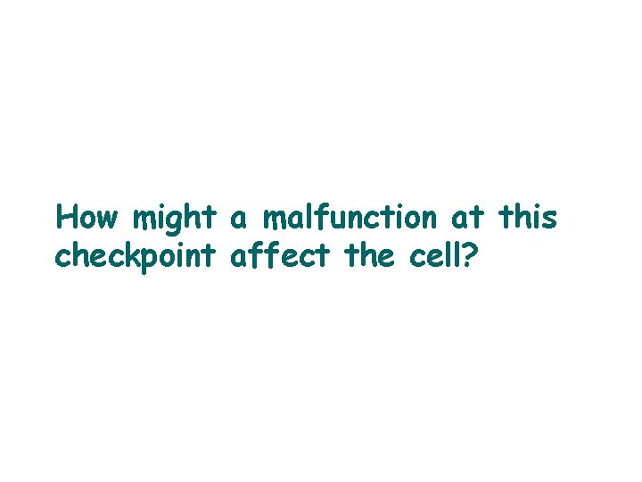 How might a malfunction at this checkpoint affect the cell? 