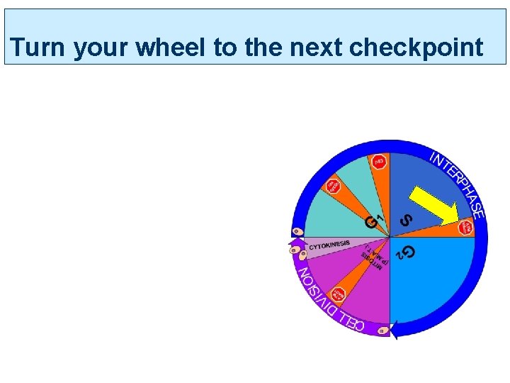 Turn your wheel to the next checkpoint 