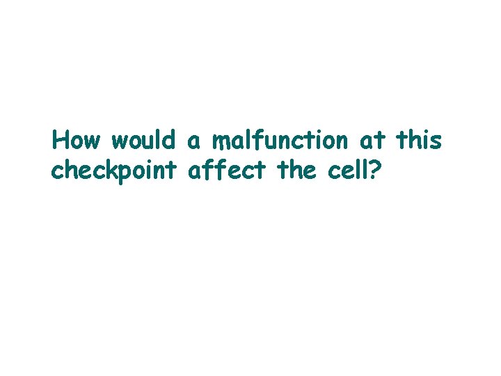 How would a malfunction at this checkpoint affect the cell? 