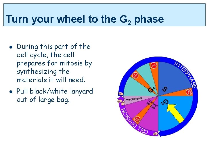 Turn your wheel to the G 2 phase l l During this part of