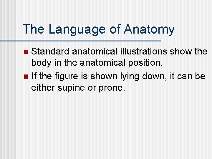 The Language of Anatomy Standard anatomical illustrations show the body in the anatomical position.