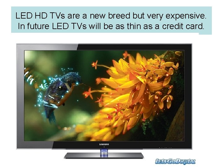 LED HD TVs are a new breed but very expensive. In future LED TVs