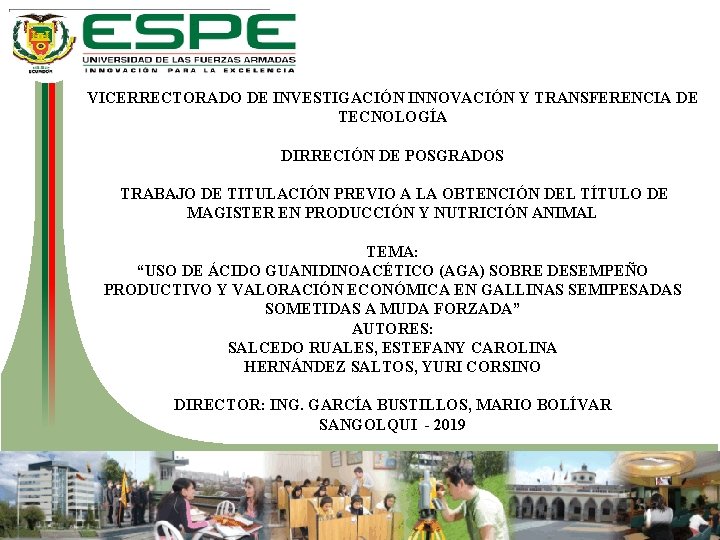 VICERRECTORADO DE INVESTIGACIÓN INNOVACIÓN Y TRANSFERENCIA DE TECNOLOGÍA DIRRECIÓN DE POSGRADOS TRABAJO DE TITULACIÓN