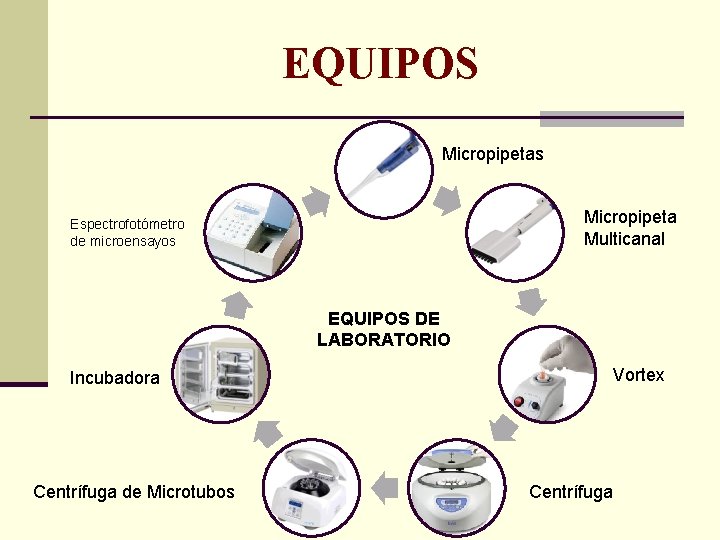 EQUIPOS Micropipetas Micropipeta Multicanal Espectrofotómetro de microensayos EQUIPOS DE LABORATORIO Incubadora Centrífuga de Microtubos