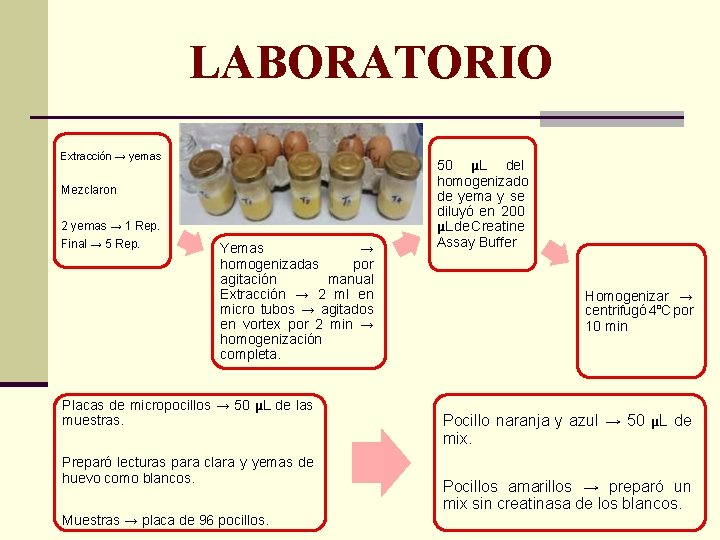 LABORATORIO Extracción → yemas Mezclaron 2 yemas → 1 Rep. Final → 5 Rep.