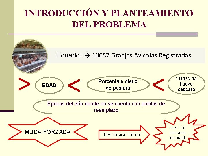 INTRODUCCIÓN Y PLANTEAMIENTO DEL PROBLEMA Ecuador → 10057 Granjas Avícolas Registradas > EDAD <